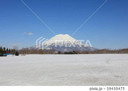 ニセコ町、宮田地区から見る羊蹄山 ニセコ町、宮田地区から見る羊蹄山 39430475