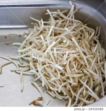 Soybean sprouts in a salad glass bowl Soybean sprouts in a salad glass bowl 39430486