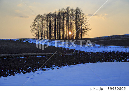 嬬恋高原の日の出 嬬恋高原の日の出 39430806