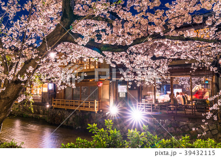 《京都府》祇園白川・夜桜 39432115
