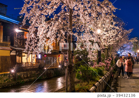 《京都府》祇園白川・夜桜 39432136