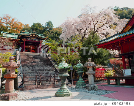 桜咲く久能山東照宮 39432498