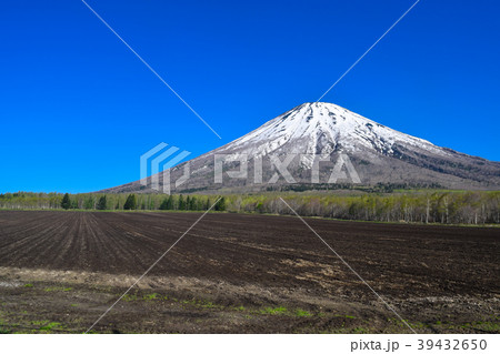 羊蹄山 蝦夷富士 羊蹄山 蝦夷富士 39432650