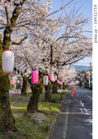 大宮通り桜並木 桜まつり　長野県飯田市 39432759