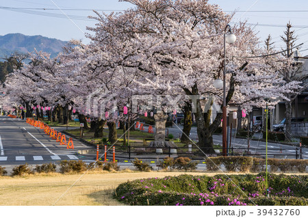 大宮通り桜並木 桜まつり　長野県飯田市 39432760