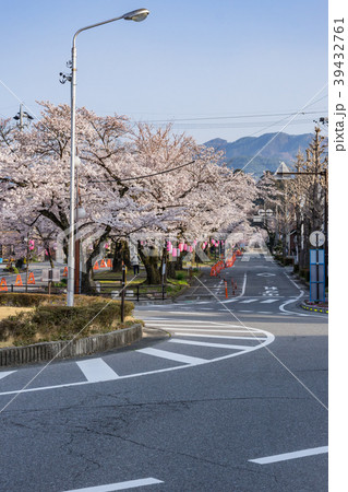 大宮通り桜並木 桜まつり 長野県飯田市 大宮通り桜並木 桜まつり 長野県飯田市 39432761