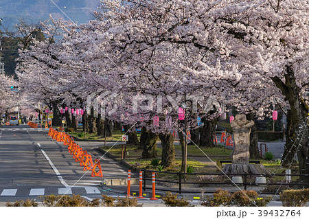大宮通り桜並木 桜まつり 長野県飯田市 大宮通り桜並木 桜まつり 長野県飯田市 39432764