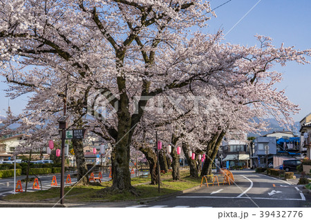 大宮通り桜並木 桜まつり　長野県飯田市 39432776