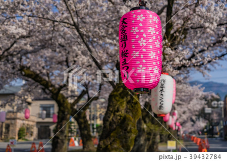 大宮通り桜並木 桜まつり　長野県飯田市 39432784