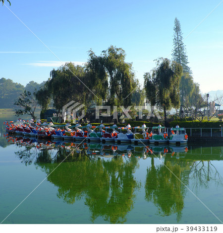 duck boats, swan boat, outdoor sport activity duck boats, swan boat, outdoor sport activity 39433119