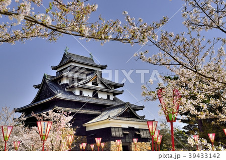 国宝松江城の桜 39433142