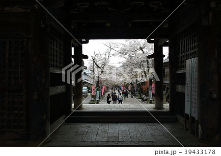 桜満開の谷汲山華厳寺・20(岐阜県揖斐郡揖斐川町谷汲) 桜満開の谷汲山華厳寺・20(岐阜県揖斐郡揖斐川町谷汲) 39433178