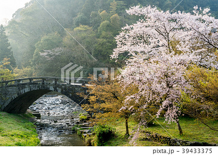 秋月眼鏡橋 39433375