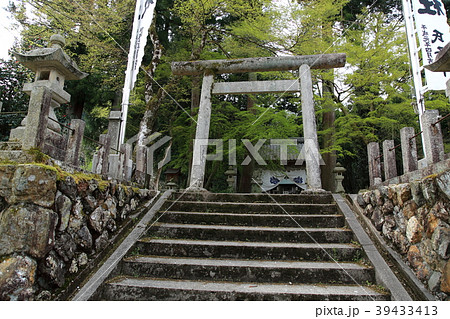 桜満開の谷汲山華厳寺・28（岐阜県揖斐郡揖斐川町谷汲） 39433413