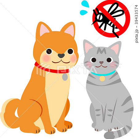 ペットの犬 猫と蚊対策のイメージのイラスト素材