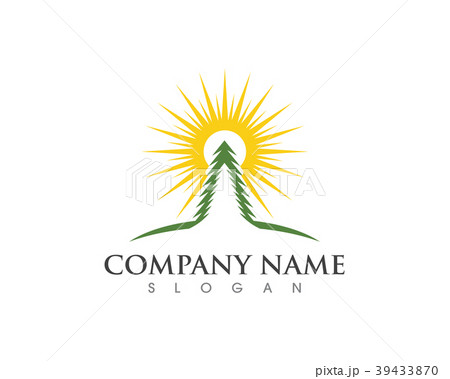 Cedar tree Logo template vector 39433870