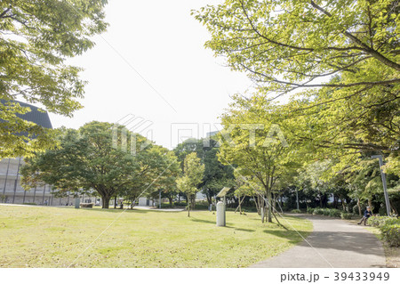 いわき市民の市街地の貴重なオアシス平中央公園 いわき市民の市街地の貴重なオアシス平中央公園 39433949