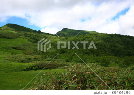 暑寒別岳雨竜沼コースから見上げる暑寒別岳 39434296