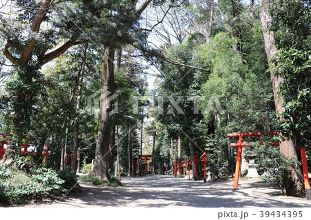 群馬 冠稲荷神社 林道 群馬 冠稲荷神社 林道 39434395