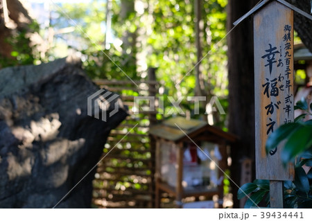 大宮八幡宮の幸福がえる2 39434441