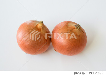 札幌黄　たまねぎ 39435825