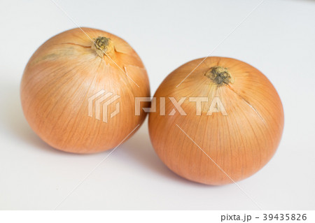 札幌黄　たまねぎ 39435826