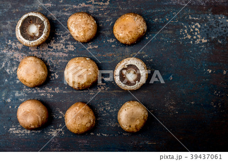 PORTOBELLO MUSHROOM on dark background, top view PORTOBELLO MUSHROOM on dark background, top view 39437061