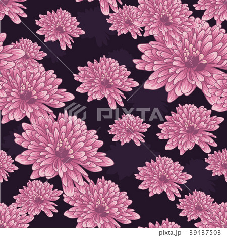 Seamless pattern with pink chrysanthemum flowers Seamless pattern with pink chrysanthemum flowers 39437503