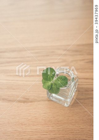 四つ葉 39437969