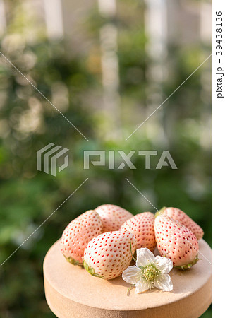 白いちご 39438136
