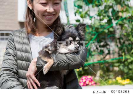 愛犬のチワワを抱く女性 愛犬のチワワを抱く女性 39438263
