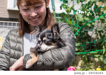 愛犬のチワワを抱く女性 愛犬のチワワを抱く女性 39438264