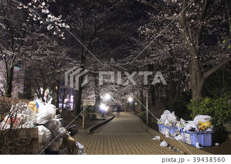 川口西公園での夜桜、ゴミの不法投棄 39438560