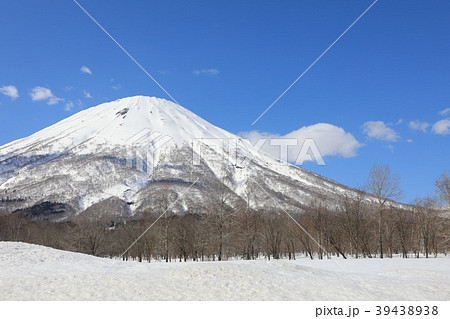 真狩村、新陽地区から見る羊蹄山 39438938