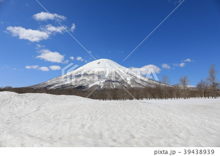 真狩村、新陽地区から見る羊蹄山 39438939