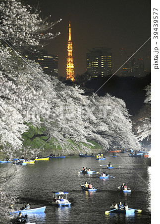 日本の東京都市景観　千鳥ヶ淵の桜と東京タワーなどを望む（ライトアップ、夜景） 39439577