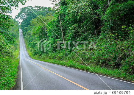 Country Road, Field, Land, Lawn, Meadow 39439704