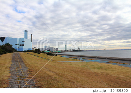 千葉県習志野市茜浜海浜公園 千葉県習志野市茜浜海浜公園 39439890