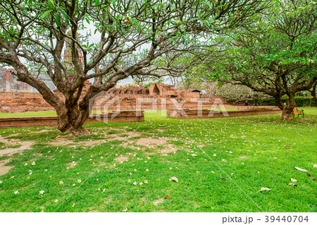 Ayuthaya, Thailand, Buddhism, Temple - Building 39440704