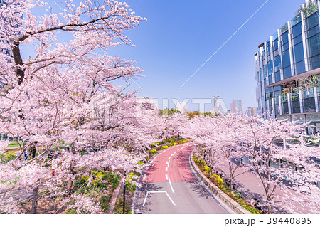 日本の春 東京の都市風景 六本木ミッドタウン の写真素材