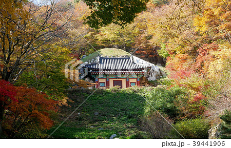 Seokguram Grotto Temple in autumn. 39441906