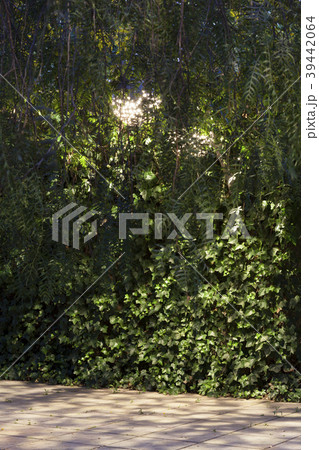 Parc del Centre del Poblenou 39442064