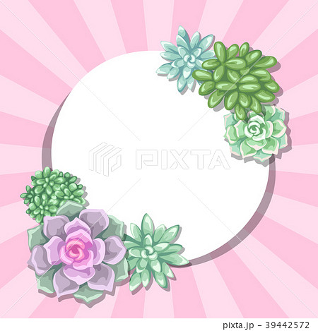 Card with succulents. Echeveria, Jade Plant and Card with succulents. Echeveria, Jade Plant and 39442572