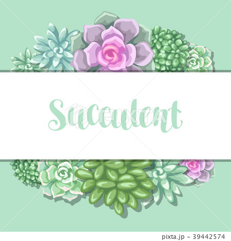 Card with succulents. Echeveria, Jade Plant and 39442574