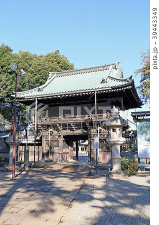 妙法寺 妙法寺 39443349