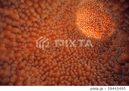 3D illustration close-up Intestinal villi 39443495