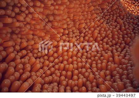 3D illustration close-up Intestinal villi 39443497