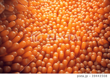 3D illustration close-up Intestinal villi 39443508