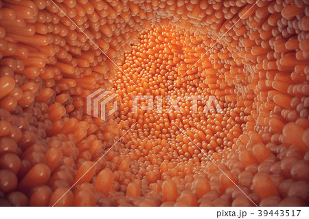 3D illustration close-up Intestinal villi 39443517