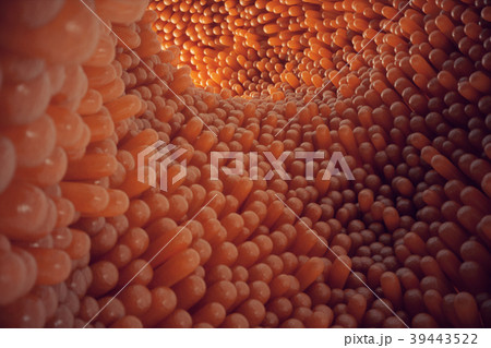 3D illustration close-up Intestinal villi 39443522